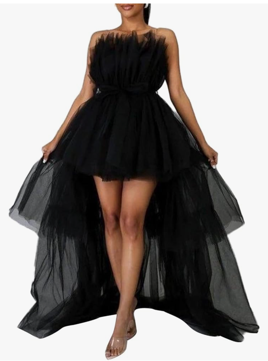 Women's TuTu Train Dress